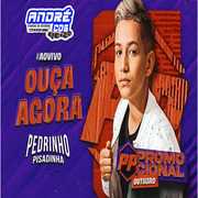 PEDRINHO PISADINHA CD PROMOCIONAL ( Andre CDs O Moral De Ibicoara)