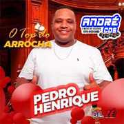 PEDRO HENRIQUE O TOP DO ARROCHA ( Andre CDs O Moral De Ibicoara)