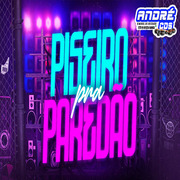 piseiro-pra-pareda-o-so-as-melhores-2021-andre-cds-o-moral-de-ibicoara-1