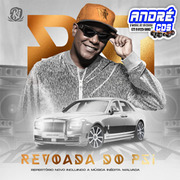 psirico-cd-revoada-dp-psi-andre-cds-o-moral-de-ibicoara-1