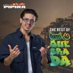 Seu Pipira - The Best Of Forró de Quebrada