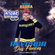 tropa-da-bregadeira-revoadas-dos-fluxos-andre-cds-o-moral-de-ibicoara-1