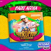 tropa-da-bregadeira-vem-carnaval-2020-andre-cds-o-moral-de-ibicoara