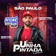 UNHA PINTADA AO VIVO EM SÃ O PAULO 2020 ( Andre CDs O Moral De Ibicoara)