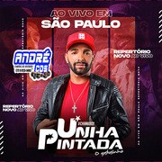 unha-pintada-ao-vivo-em-sa-o-paulo-2020-andre-cds-o-moral-de-ibicoara