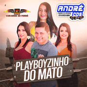 VARADOES DO FORRO PLAYBOYZINHO DO MATO ( Andre CDs O Moral De Ibicoara)