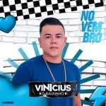 Vinicius o Baixinho - Novembro 2025