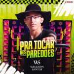 Wellison Santos - Pra Tocar nos Paredões