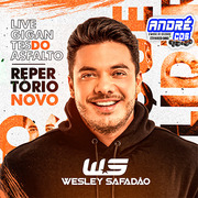 WESLEY SAFADAO CD GIGANTES DO ASFALTO ( Andre CDs O Moral De Ibicoara)