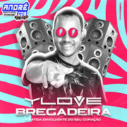 ylove-bregadeira-cd-promocional-2-k-21-andre-cds-o-moral-de-ibicoara-1