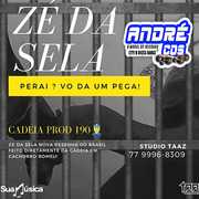 ze-da-sela-bruto-fire-musicas-novas-2-k-21-andre-cds-o-moral-de-ibicoara-1