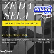 ZE DA SELA BRUTO FIRE MUSICAS NOVAS 2 K 21 ( Andre CDs O Moral De Ibicoara)
