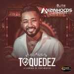 Ouvir e baixar CDs de Forró – ToqueDez Atualizado - Verão 2021 - Anzinho Cds Oficial CAPA
