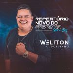 Ouvir e baixar CDs de Forró – WELITON GORDINHO - PROMOCIONAL NOVeDEZ CAPA-CD-NOV-E-DEZ
