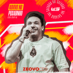 CAPA WESLEY SAFADAO AO VIVO EM GOIANA GO 2022