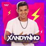 Ouvir e baixar CDs de Forró – Xandynho Diferenciado - Forró No Posto - Setembro 2025 - JonathanCorcino ab67616d00001e026c8c63ec2429bef722bda1b6