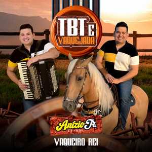 Anizio Jr mais tocadas 2026