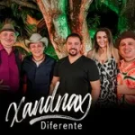 Ouvir e baixar CDs de Forró – XANDNAX DIFERENTE - COM RITA DE CASSIA REDONDO NETO LEITE E ROMULO SANTARAI - JONATHANCORCINO avatar