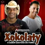 Ouvir e baixar CDs de Forró – XOKOLATY - O SABOR GOSTOSO DO FORRÓ - 2024 - Anzinho Cds Oficial cd_cover (10)
