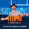 Felipao mais tocadas 2026