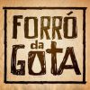 Forro Da Gota mais tocadas 2026