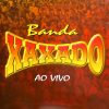 Forro Manaus mais tocadas 2026