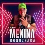 Playlists - Forro Menina Bronzeada Mais Tocadas Forro Menina Bronzeada mais tocadas 2026