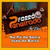 Forro Peneirado mais tocadas 2026
