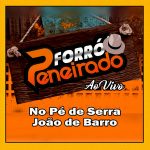 Forro Peneirado mais tocadas 2026