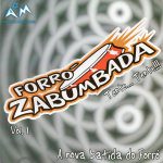 Playlists - Forro Zabumbada Mais Tocadas Forro Zabumbada mais tocadas 2026