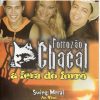 Forrozao Chacal mais tocadas 2026