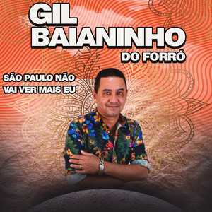 Gil Baianinho Do Forro mais tocadas 2026