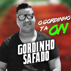 Gordinho Safado mais tocadas 2026
