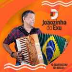 Joaozinho Do Exu mais tocadas 2026