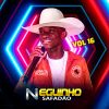 Neguinho Safadao mais tocadas 2026
