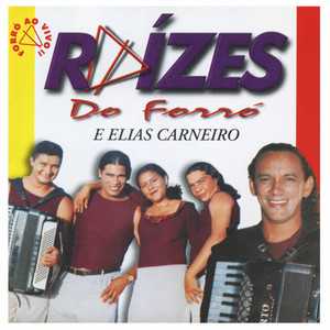 Raizes Do Forro mais tocadas 2026
