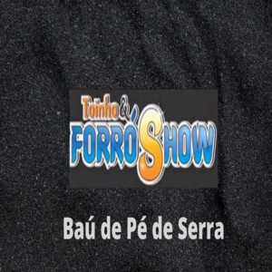 Toinho Forro Show mais tocadas 2026