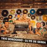 Trio Borogodo mais tocadas 2026