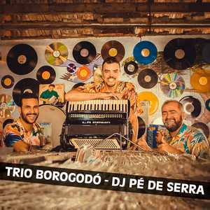 Trio Borogodo mais tocadas 2026