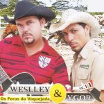 Playlists - Weslley Ygor Mais Tocadas Weslley Ygor mais tocadas 2026