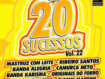 Download 20 Sucessos Rede SomZoom - Vol 22