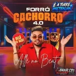 Download ALLÊ NO BEAT -CD NOVO OUTUBRO 2026 - AMAIR CDs