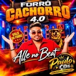 Download Allê No Beat - FORRÓ CACHORRO 4 0.rar