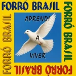 Download Banda Forró Brasil - Aprendi a Viver