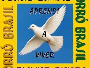 Download Banda Forró Brasil - Aprendi a Viver
