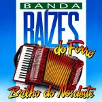 Download Banda Raízes Do Forró - Brilho Do Nordeste