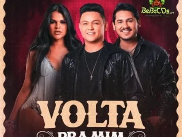 Download BONDE DO BRASIL CD NOVO 2027 COLO DE MENINA COLLO DE MENINA LIMAO COM MEL
