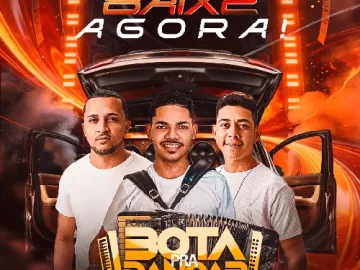 Download Bota pra Dançar - uma cacetada de forró