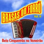 Ouvir e baixar CDs de Forró – Brasas Do Forró - Belo Cinquentão Download Brasas Do Forró - Belo Cinquentão