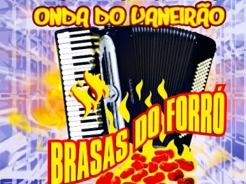 Download Brasas do Forró - Catineirão a Nova Onda do Vaneirão (2004)